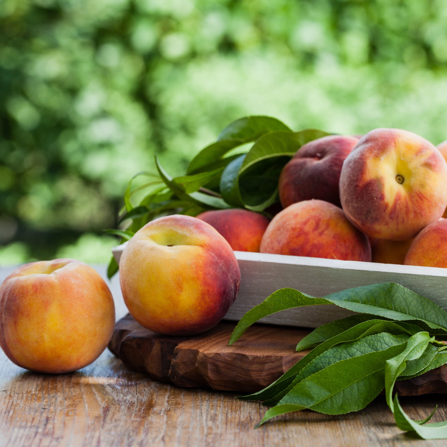 A plate full of raw peaches - inspiration for this scented candle