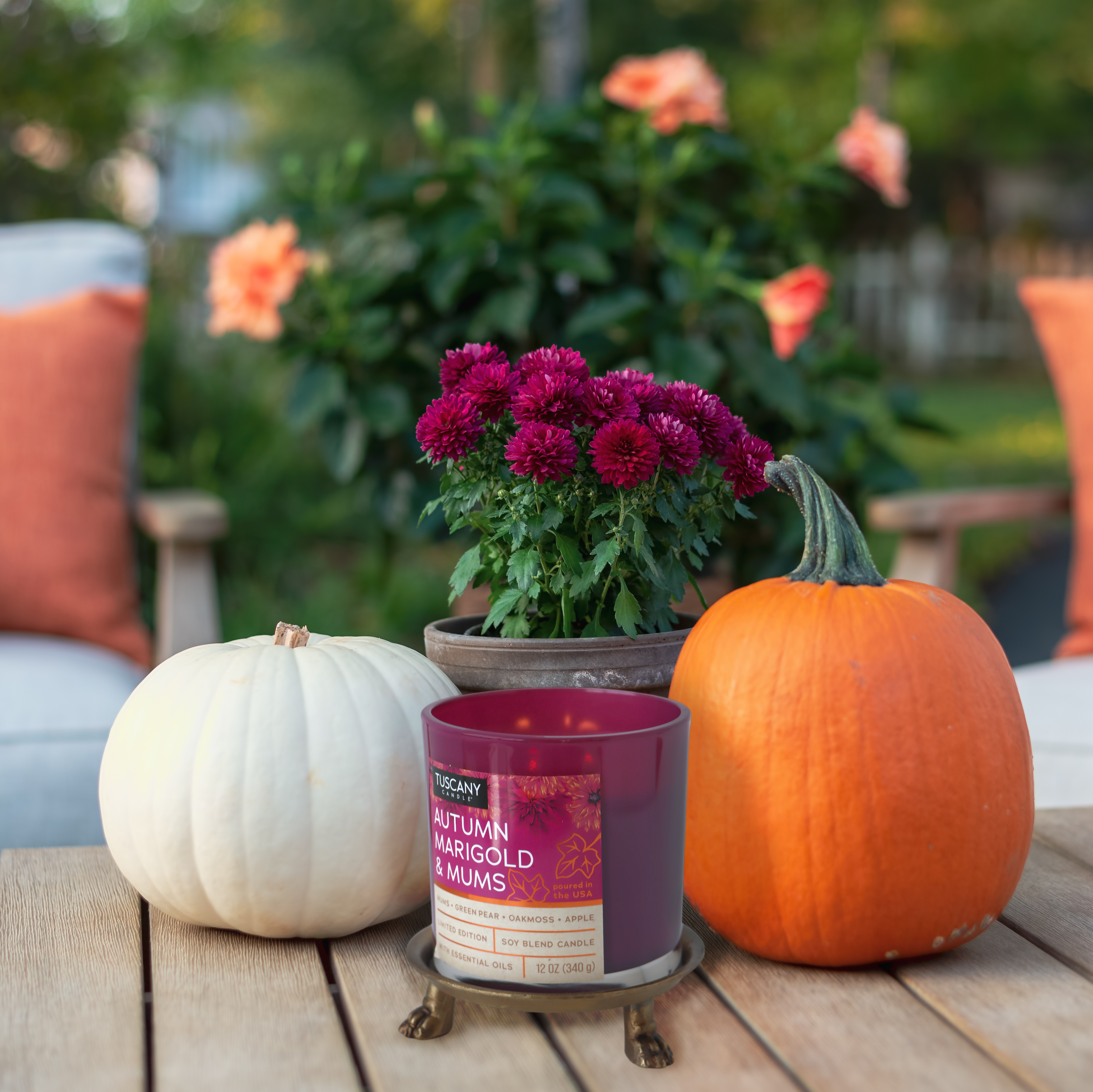 A display of autumnal charm features Tuscany Candle® SEASONAL's "Autumn Marigold & Mums Long-Lasting Scented Jar Candle (12 oz)" from the Copper Harvest Collection, a potted plant with purple flowers, a white pumpkin, and an orange pumpkin. They are all set elegantly on a wooden table outside, with patio furniture and blooming flowers in the background.