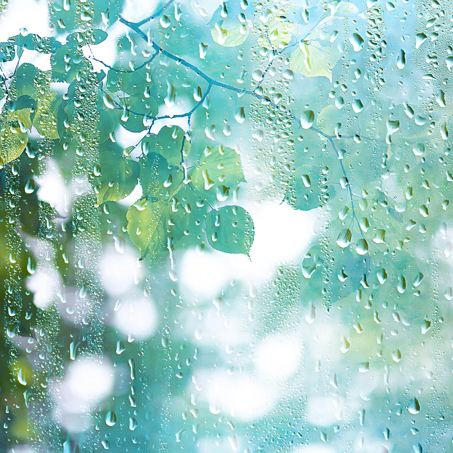 Rain on a windowpane - one of the inspirations for our Peony Blossom wax melts