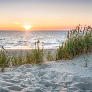 A photo of sunset at a beach, with cool sand and seagrasses. This is the sensation that our scented candle called "Tranquil Sea" is meant to evoke