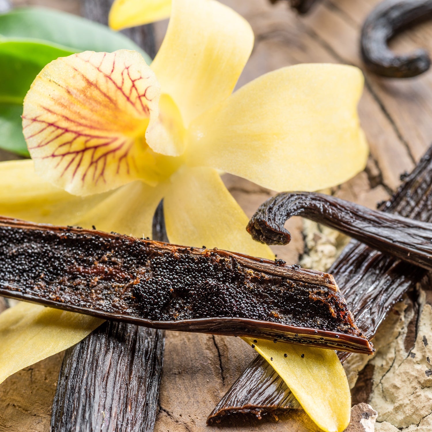 Vanilla beans and blossoms - inspiration for this cookie-scented candle