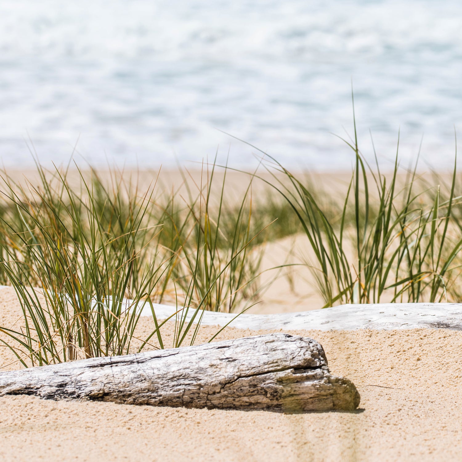 A Tuscany Candle Washed Beachwood Long-Lasting Scented Jar Candle (14 oz) in the sand next to the ocean emitting a clean burn fragrance.